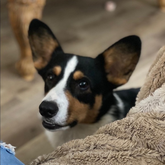 Meet your Posher, Christy - Picture 10 of 10